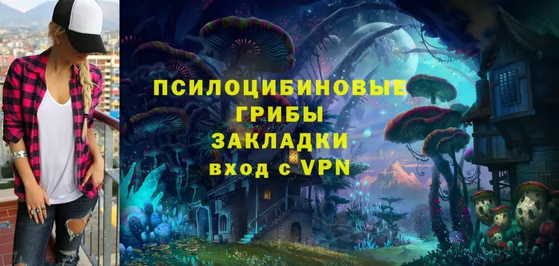 Псилоцибиновые грибы Psilocybe  гидра   даркнет телеграм  Железногорск-Илимский 